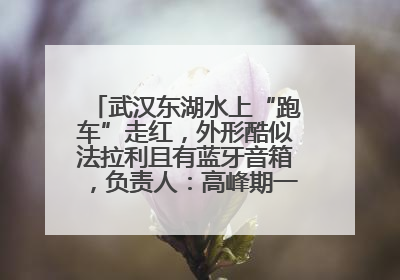 武汉东湖水上“跑车”走红，外形酷似法拉利且有蓝牙音箱，负责人：高峰期一两百人排队